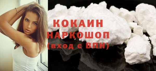 индика Абинск