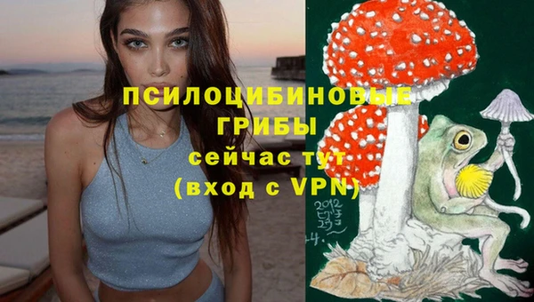 индика Абинск