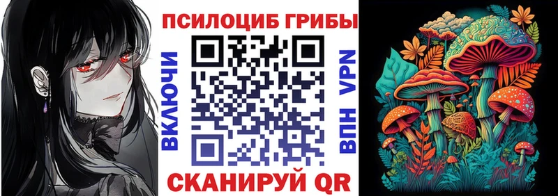 МЕГА сайт  Новоаннинский  Псилоцибиновые грибы GOLDEN TEACHER 